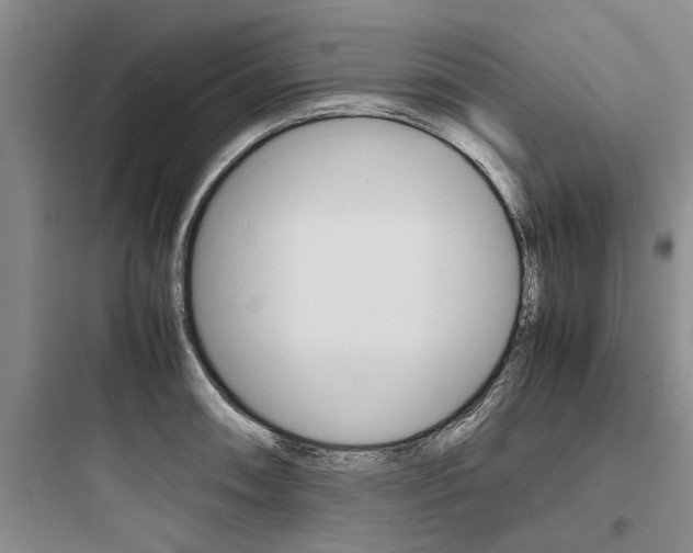 X0000097961090200803241036