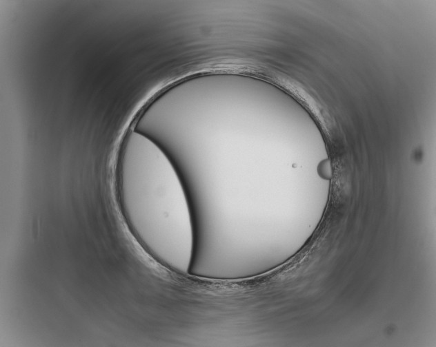X0000097961091200803241036