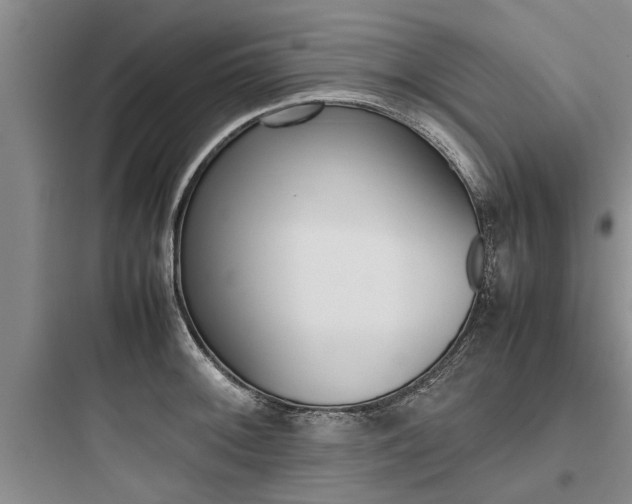 X0000097961092200803241036
