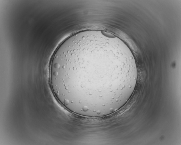 X0000097961095200803241036