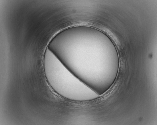 X0000097961097200803241036