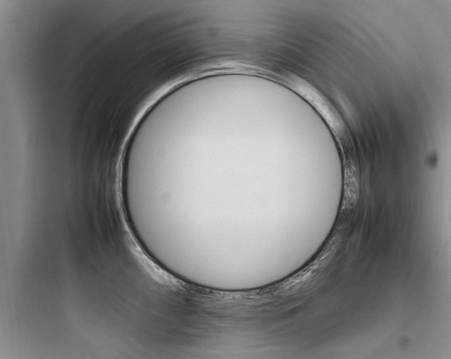 X0000097961098200803241036