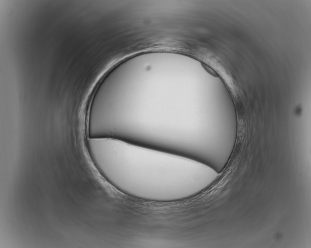 X0000097961099200803241036