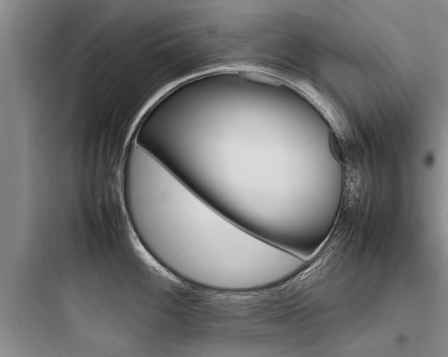 X0000097961100200803241036