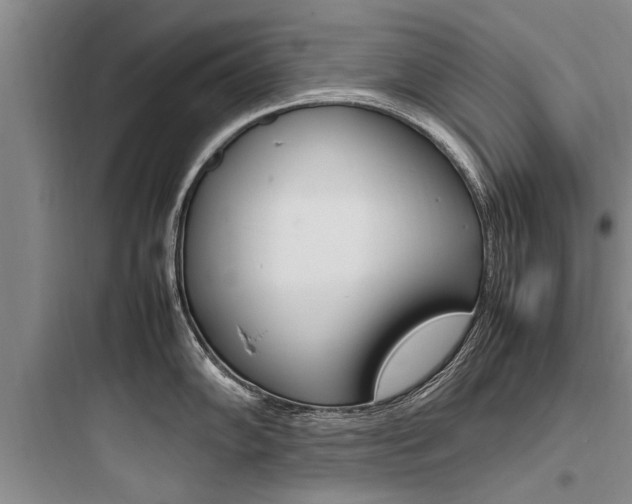 X0000097961102200803241036