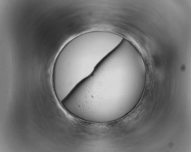 X0000097961103200803241036