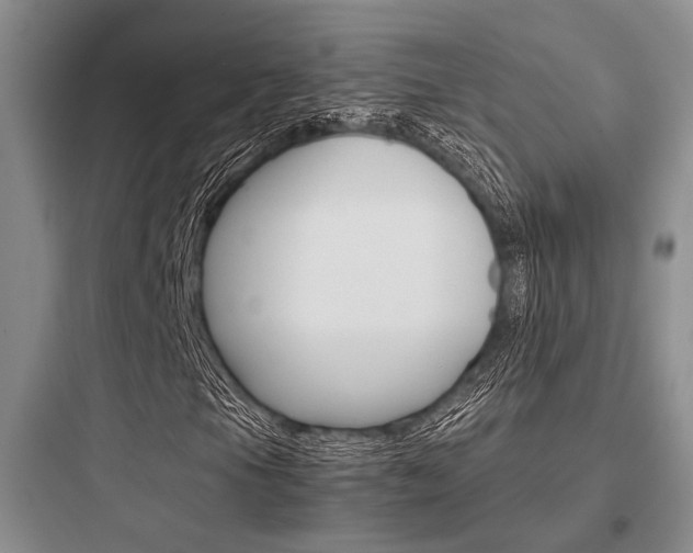 X0000097961105200803241035