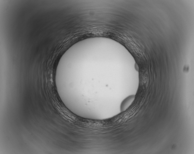 X0000097961106200803241035