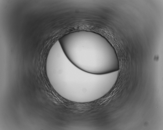 X0000097961109200803241035