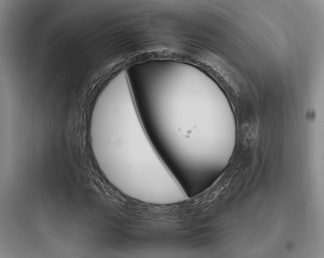 X0000097961111200803241035