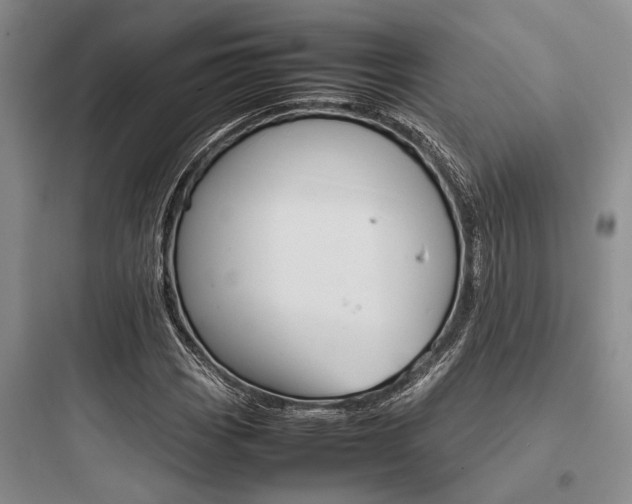 X0000097961113200803241035