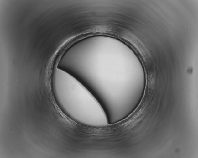 X0000097961115200803241035