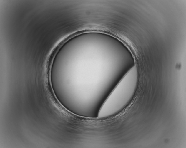 X0000097961120200803241035