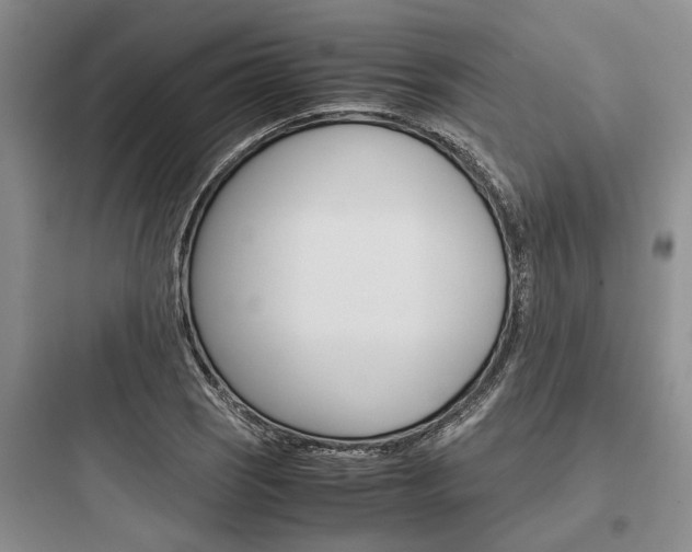 X0000097961121200803241035