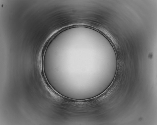X0000097961127200803241035