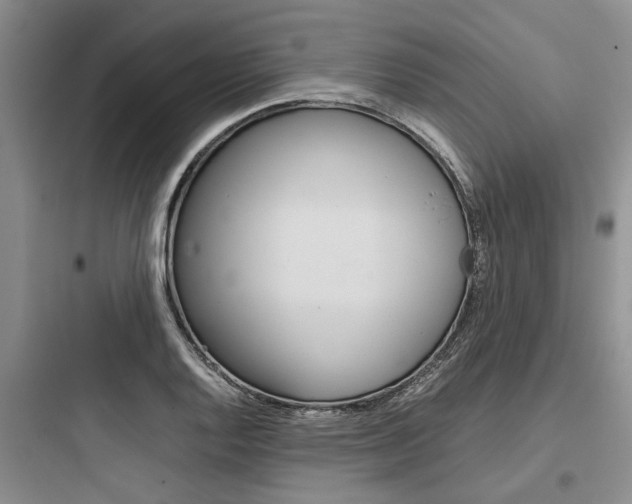 X0000097961128200803241035