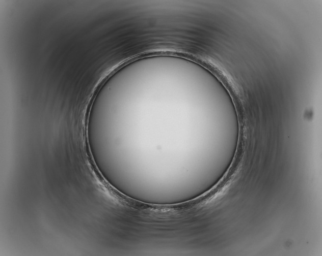 X0000097961129200803241035