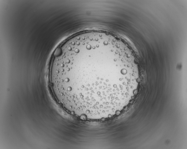 X0000097961130200803241035