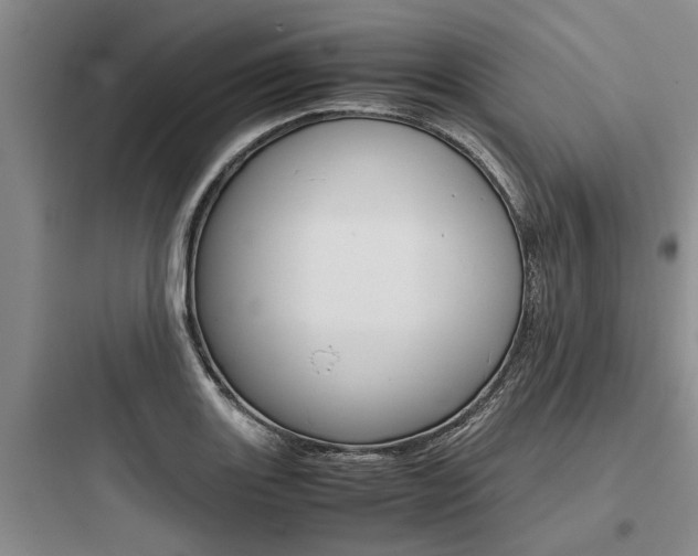 X0000097961131200803241036