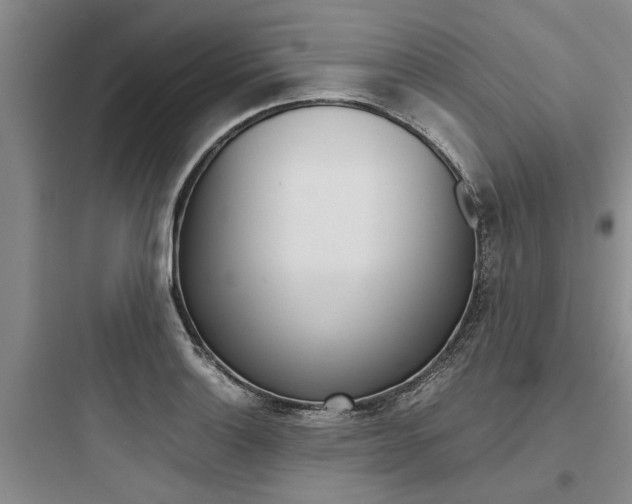 X0000097961132200803241036