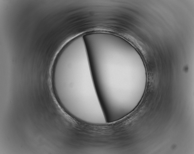 X0000097961133200803241036
