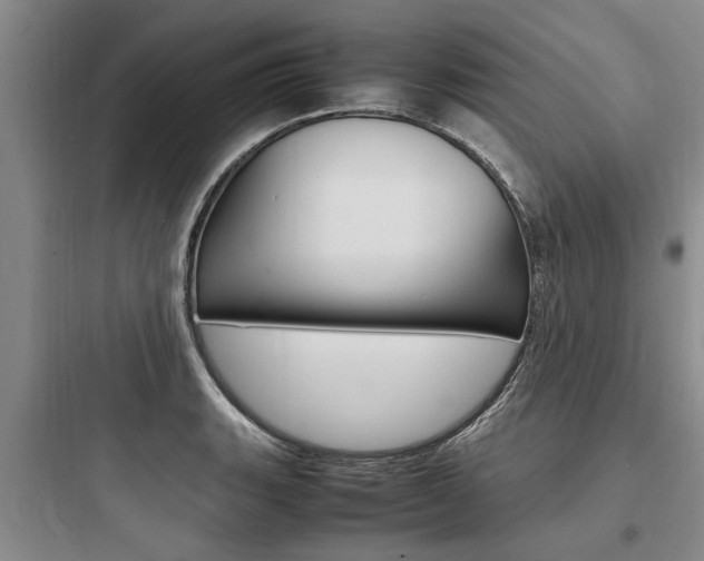 X0000097961135200803241036