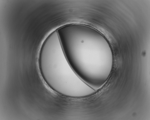 X0000097961136200803241036