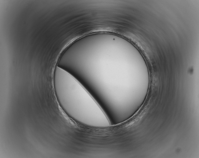 X0000097961137200803241036