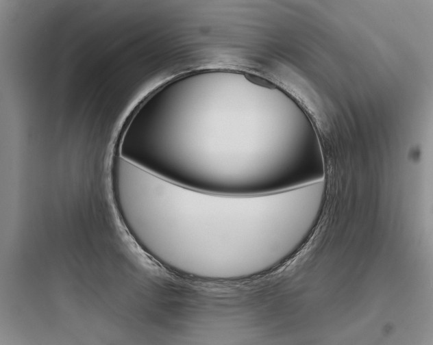 X0000097961138200803241036