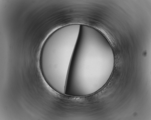 X0000097961139200803241036