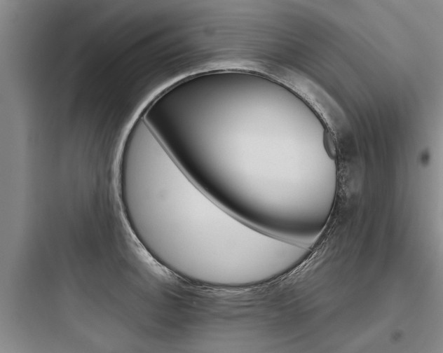 X0000097961140200803241036