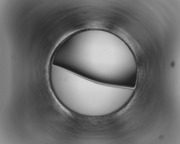 X0000097961141200803241036
