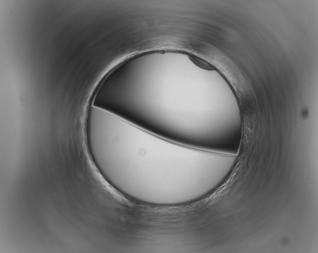 X0000097961142200803241036