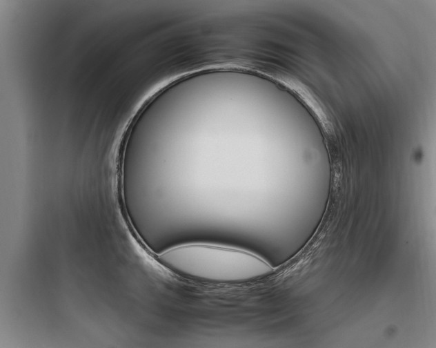 X0000097961143200803241036