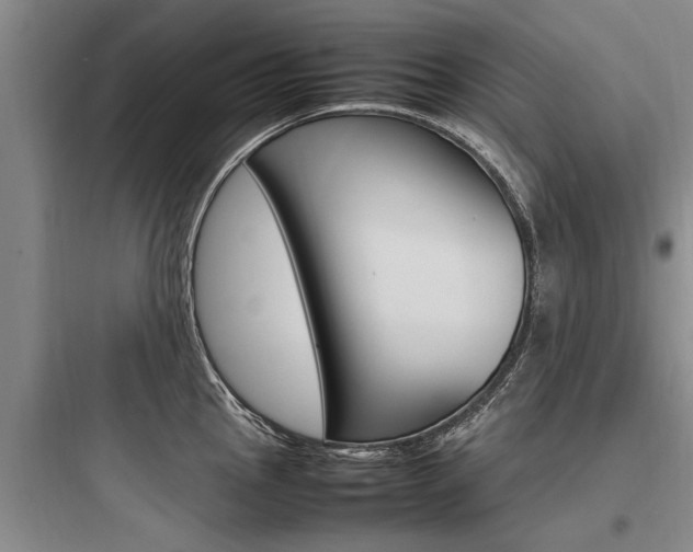 X0000097961145200803241036