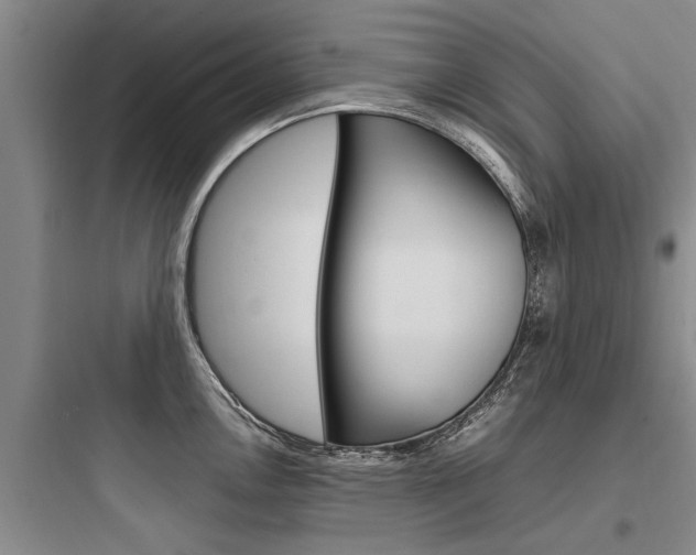X0000097961146200803241036