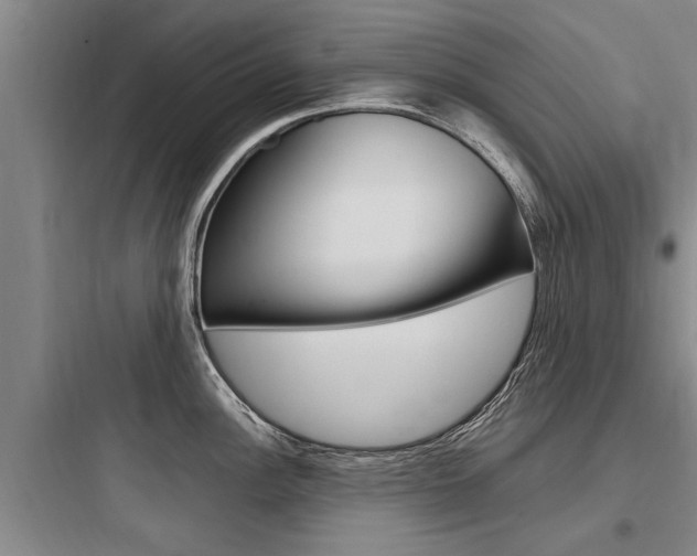X0000097961148200803241036