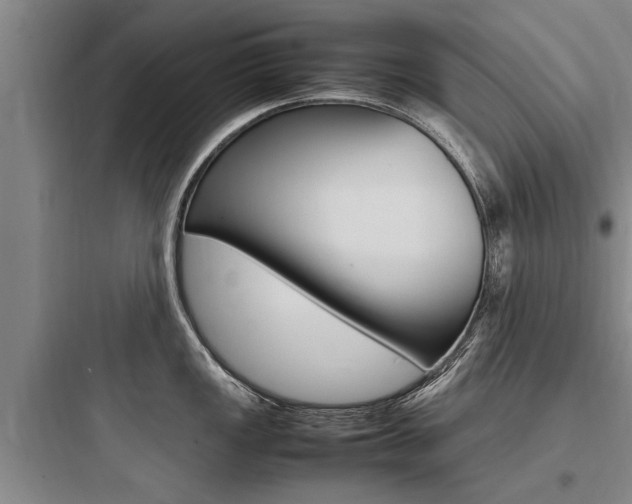 X0000097961149200803241036