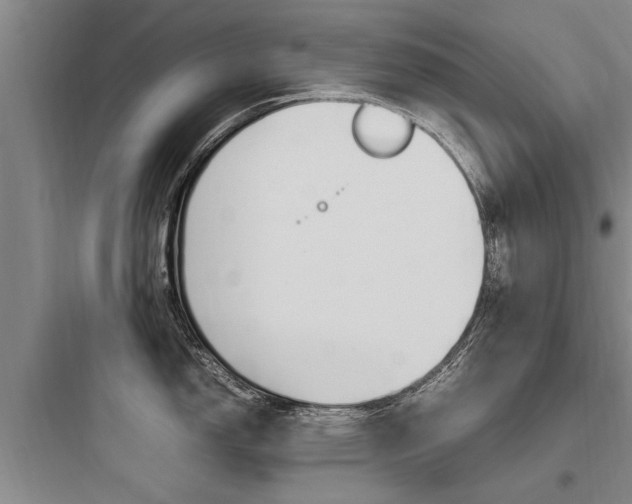 X0000097961150200803241036