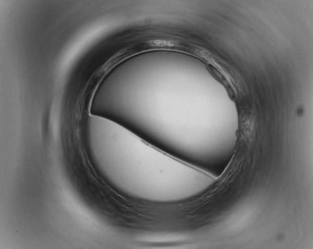 X0000097961151200803241036