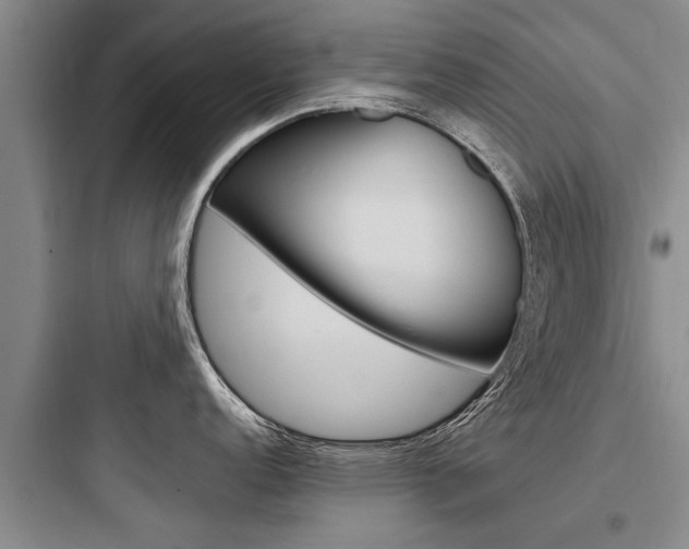 X0000097961152200803241036