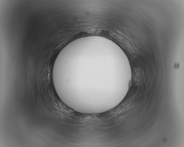 X0000097961154200803241035