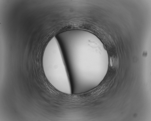 X0000097961155200803241035