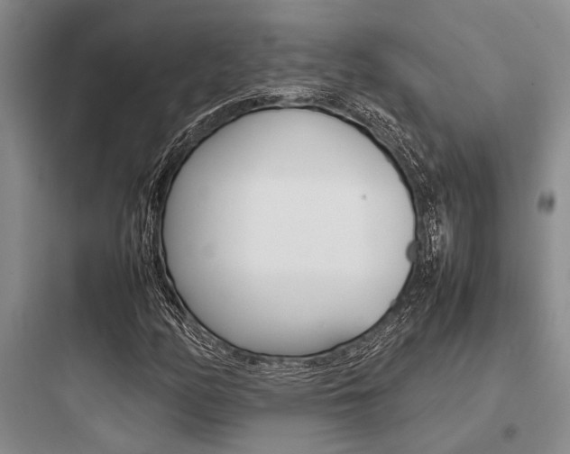 X0000097961158200803241035