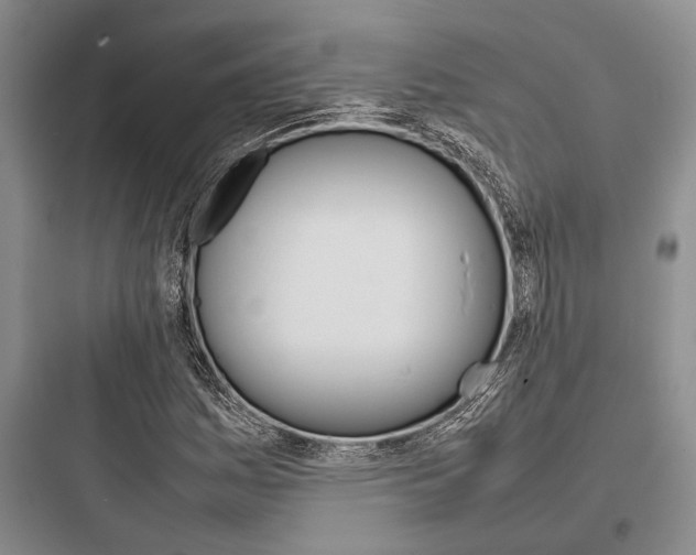 X0000097961161200803241035