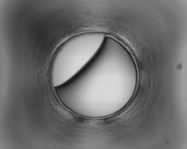 X0000097961163200803241035