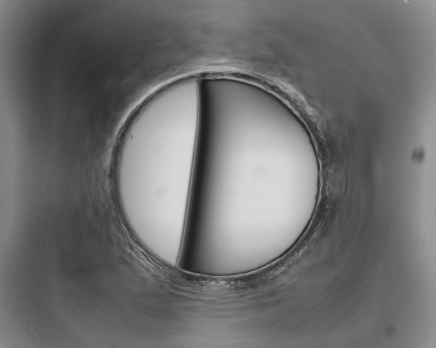 X0000097961167200803241035