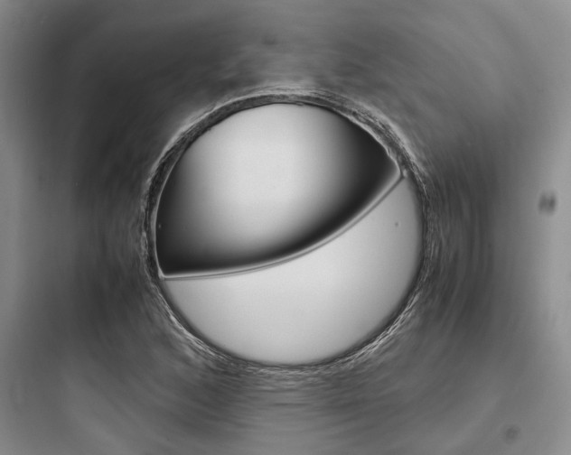 X0000097961168200803241035