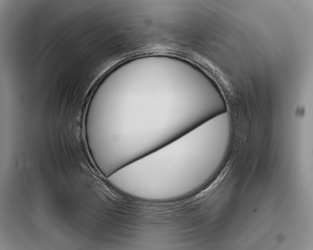 X0000097961170200803241035
