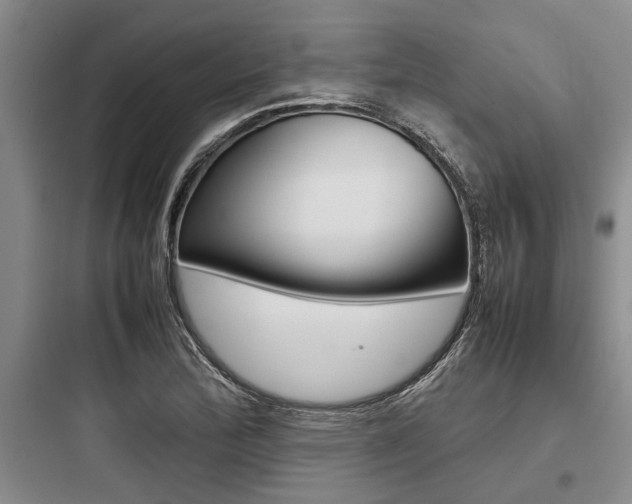 X0000097961172200803241035